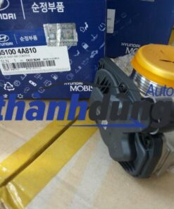 CỤM BƯỚM GA HYUNDAI STAREX