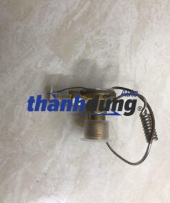 Van tiết lưu Hyundai County