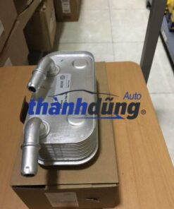 Két sinh hàn BMW 520i