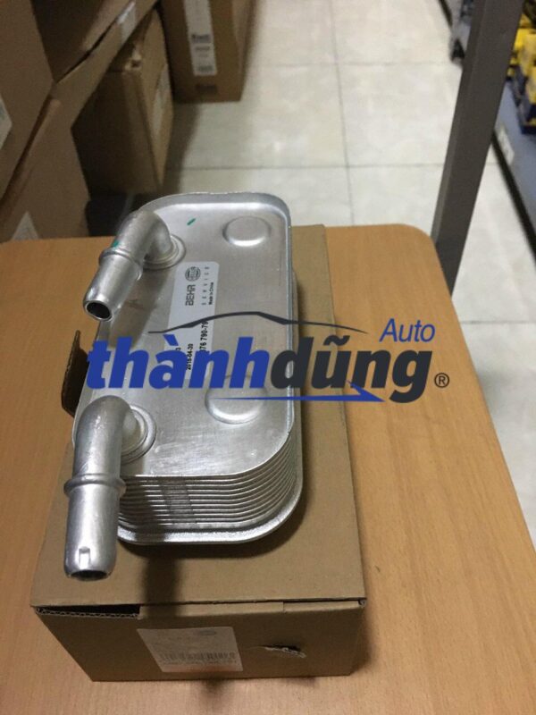 Két sinh hàn BMW 520i