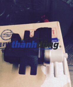 Van chân không ERG Ssangyong Stavic