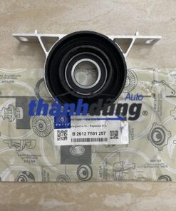 BI QUANG TREO BMW 325I