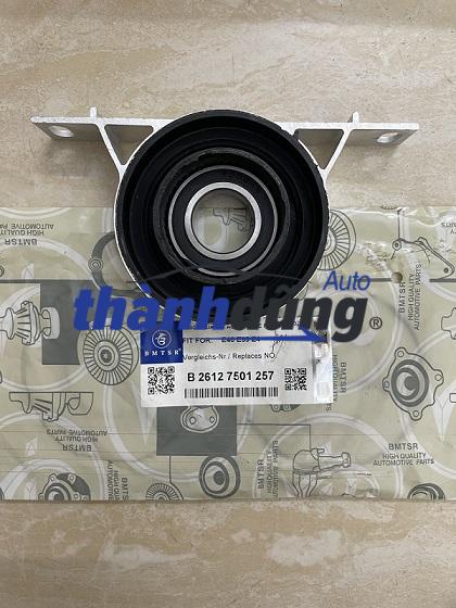 BI QUANG TREO BMW 325I