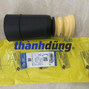 CHỤP BỤI PHUỘC NHÚN SAU BMW 328I