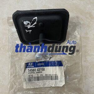 CAO SU TĂM BÔNG HYUNDAI STAREX