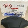 NẮP ĐẬY VÔ LĂNG KIA K190