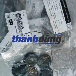 CAO SU HỐC LỐP KIA RIO 2010