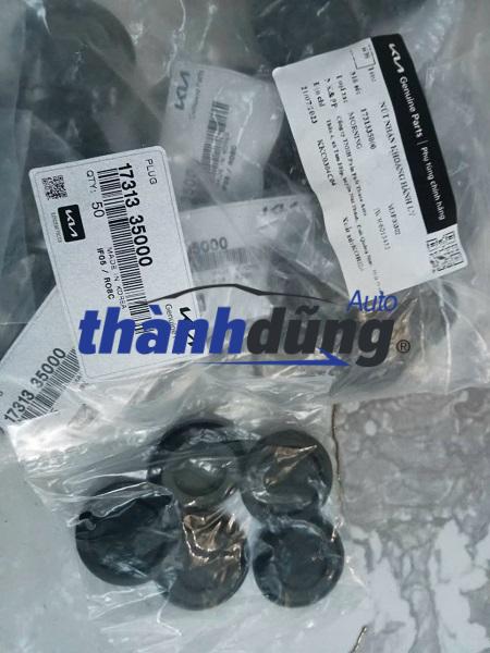 CAO SU HỐC LỐP KIA RIO 2010