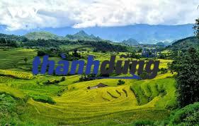 MUA PHỤ TÙNG Ô TÔ UY TÍN TẠI LAI CHÂU 