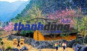 MUA PHỤ TÙNG Ô TÔ UY TÍN TẠI HÀ GIANG