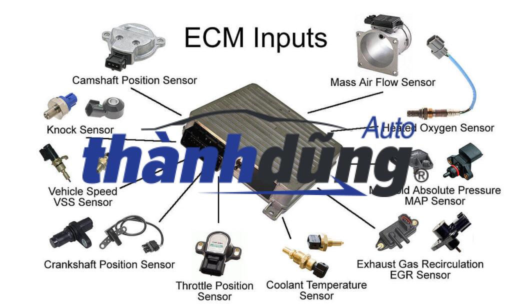 HỘP ĐEN SUZUKI 7 TẠ 2009-2016 | 3392060K20 - Ảnh 4