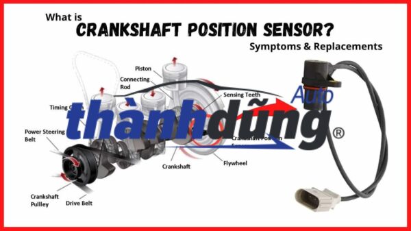 CẢM BIẾN CỐT MÁY XE SYM V5 | SW608091 - Ảnh 4