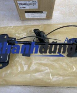 TREO LỐP DỰ PHÒNG KIA CARNIVAL 2019