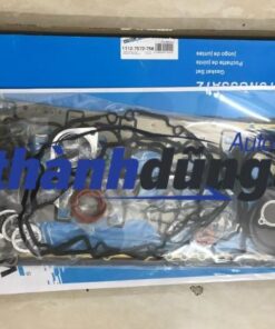 GIOĂNG ĐẠI TU BMW X6 2007