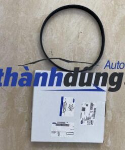 DÂY CUROA BƠM NƯỚC FORD FOCUS 2009-2015