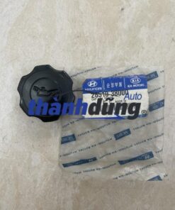 NẮP ĐỔ DẦU MẶT MÁY HYUNDAI MIGHTY