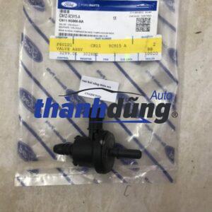 van thu hồi hơi xăng ford ecosport