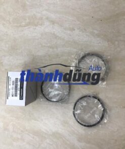 bạc xéc măng ford everest 2009