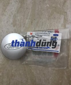 nắp chụp moay ơ ford ranger