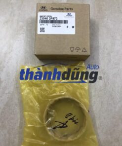 bạc xéc măng kia carnival 2014-2018 | 230402f973