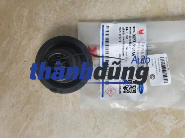 NẮP BÌNH NƯỚC PHỤ FORD ECOSPORT 2013-2019 | DG93-8101-AA
