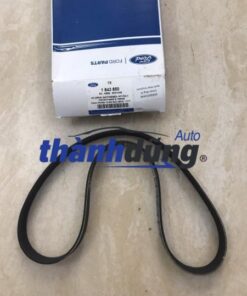 DÂY CUROA TỔNG FORD FIESTA 2012 | AE8Q-6C301-AA