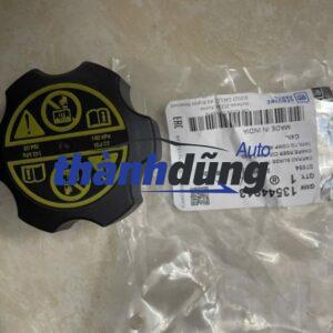 NẮP BÌNH NƯỚC PHỤ DAEWOO LACETTI EX 2009 | 13544913