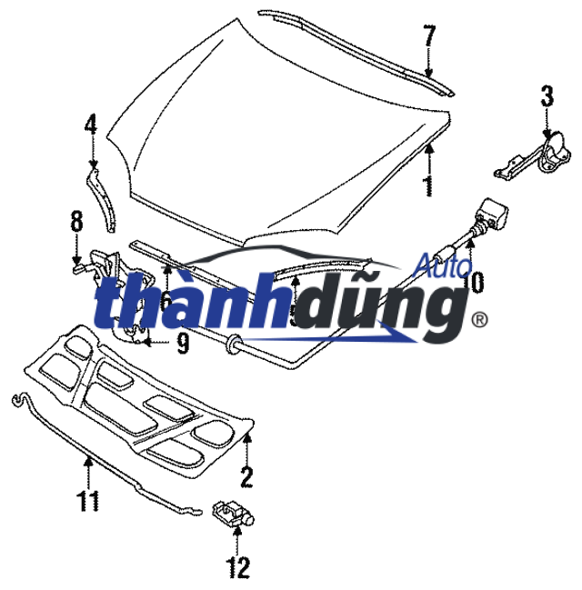 DÂY GIẬT NẮP CAPO XE KIA MORNING 2012 | 81190-1Y000 - Ảnh 5