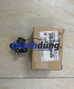 VAN HẰNG NHIỆT HYUNDAI ELANTRA 2015-2019 | 255002E000