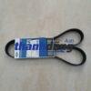 DÂY CUROA MÁY PHÁT XE FORD FOCUS 2009 | AM566C301AA