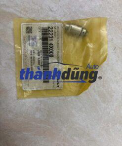 CON ĐỘI THỦY LỰC KIA BONGO 3 2000-2007 | 222314X000