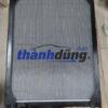 KÉT NƯỚC XE HYUNDAI TRAGO | 253006C101