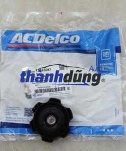 NẮP BÌNH NƯỚC PHỤ CHEVROLET ORLANDO 2012 | 13565087