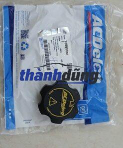 NẮP BÌNH NƯỚC PHỤ CHEVROLET ORLANDO 2012 | 13565087