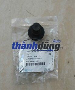 BU LÔNG MẶT MÁY XE CHEVROLET TRAILBLAZER 2016 | 12625900