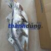 ĐÈN PHA PHỤ TOYOTA CAMRY LE 2008 | 90919T1002