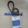 DÂY CUROA MÁY FORD FOCUS 1.8; 2.0 2009 | AM556C301AA
