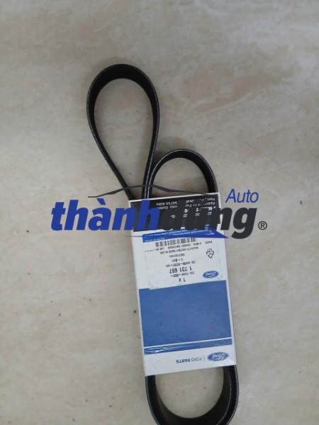 DÂY CUROA MÁY FORD FOCUS 1.8; 2.0 2009 | AM556C301AA