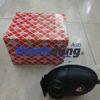 BÌNH NƯỚC PHỤ MERCEDES E350 2010-2018 | A2105000549
