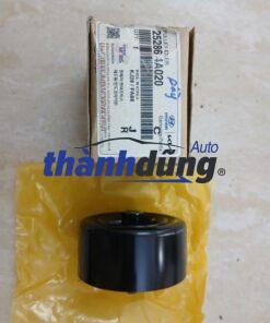 BI TỲ TỔNG XE KIA BONGO 3 2.5 2009 | 252864A020